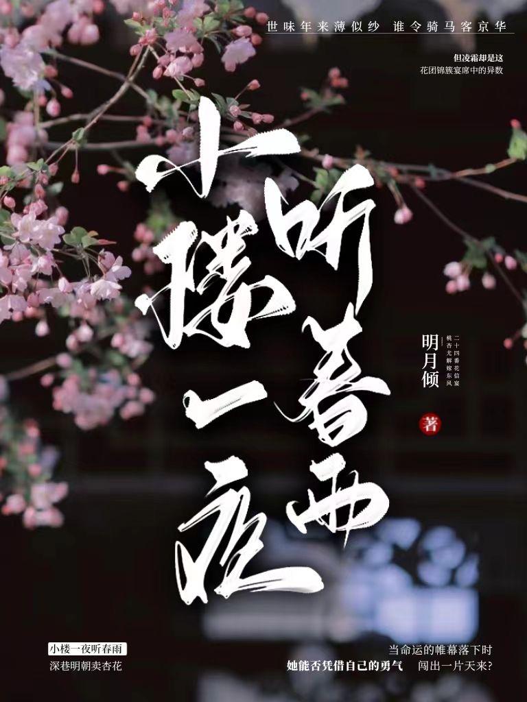 小楼一夜听春雨番外