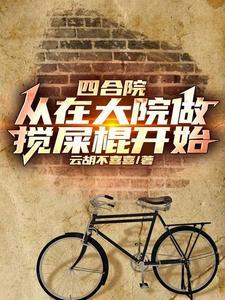 四合院我入住后大院乱套了笔趣阁