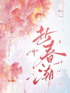 赴春潮短剧免费观看