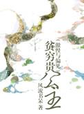傲慢与偏见 之贫穷贵公主