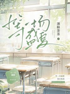 一场盛夏歌词