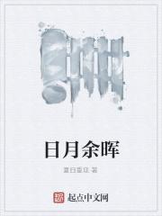 日月什么辉
