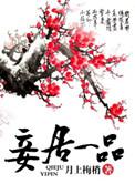 妾居一品写的什么