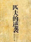 匹夫的逆袭好看吗