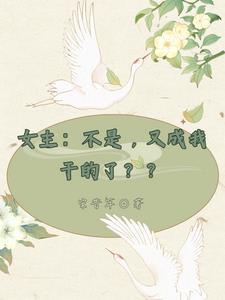 我不是女主全文阅读