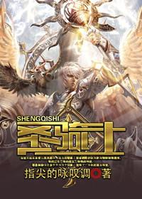 暗黑2圣骑士