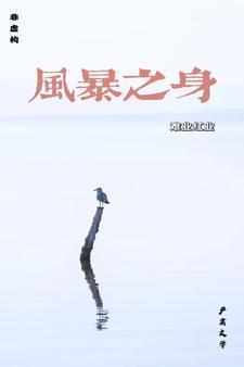 风暴之灵是什么