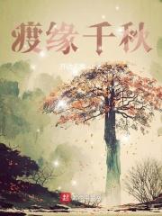 渡缘在佛教禅意是什么