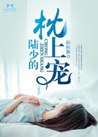 陆少的夜宠